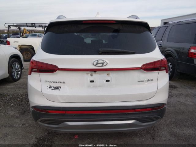Hyundai SANTA FE Sel Premium Image 3