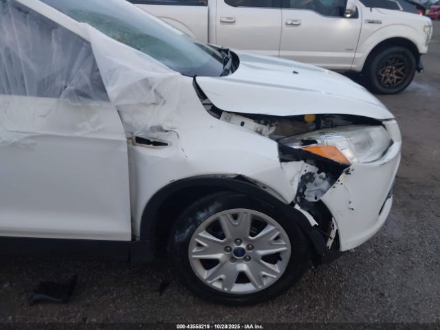 Ford Escape S Image 8