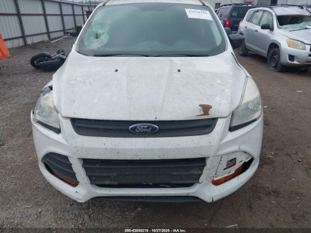 Ford Escape S Image 9