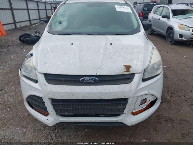 Ford Escape S Image 9