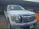 Ford F-150 Xlt Image 1