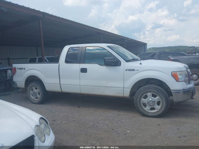 Ford F-150 Xlt Image 3