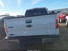 Ford F-150 Image 15