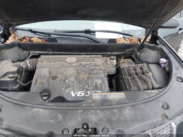 Cadillac SRX Luxury Collection Image 4