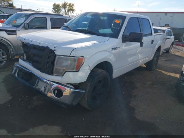Ford F-150 Xlt Image 3