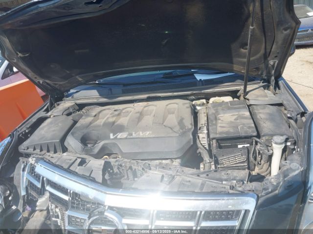 Cadillac XTS Luxury Image 8