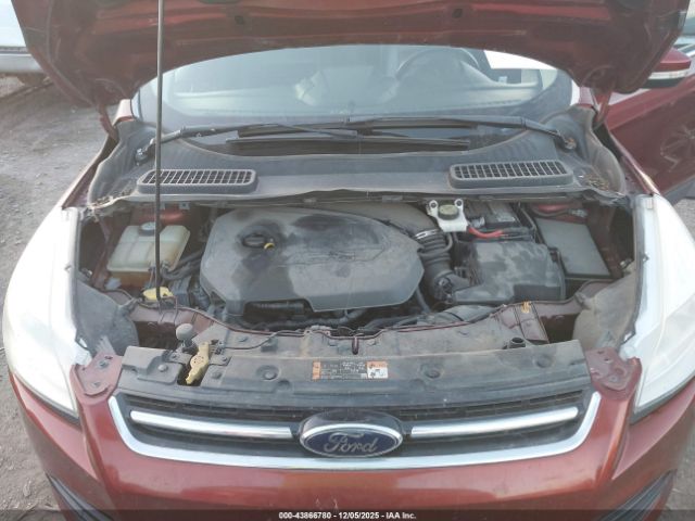 Ford Escape Titanium Image 4