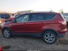 Ford Escape Titanium Image 13