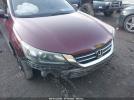 Honda Accord Lx Image 13