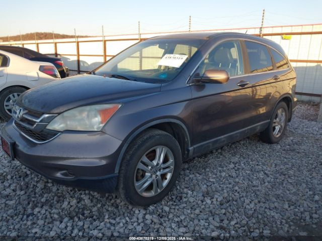 Honda CR-V Ex-l Image 9