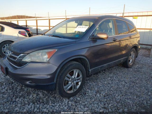 Honda CR-V Ex-l Image 9