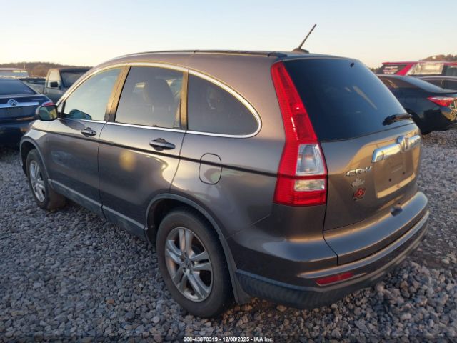 Honda CR-V Ex-l Image 3