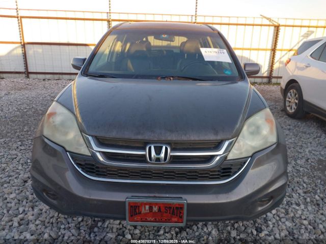 Honda CR-V Ex-l Image 4