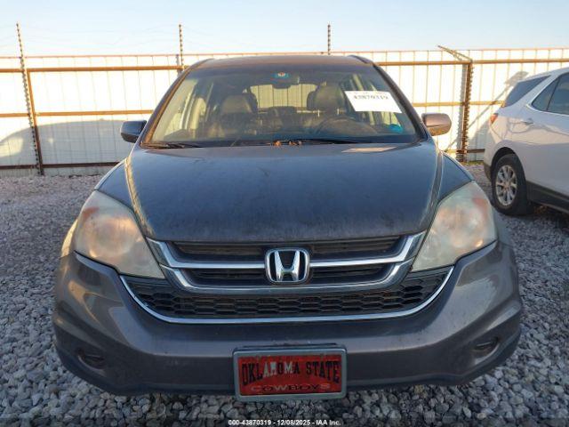 Honda CR-V Ex-l Image 8