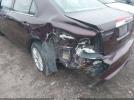 Ford Fusion Sel Image 12
