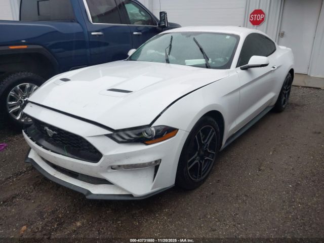 Ford Mustang Ecoboost Premium Fastback Image 14