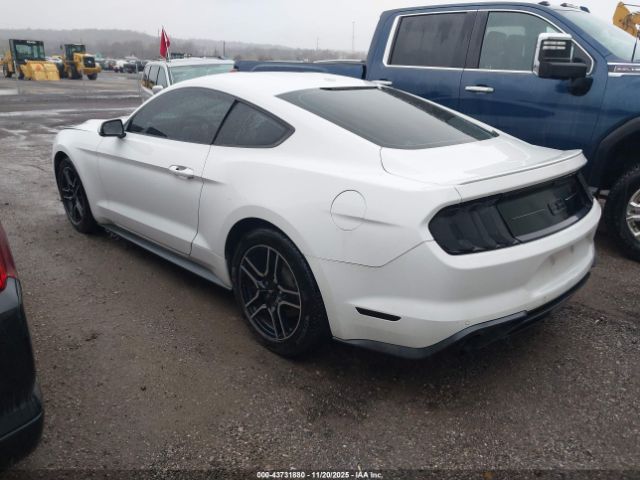 Ford Mustang Ecoboost Premium Fastback Image 4