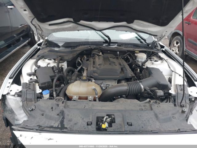 Ford Mustang Ecoboost Premium Fastback Image 7