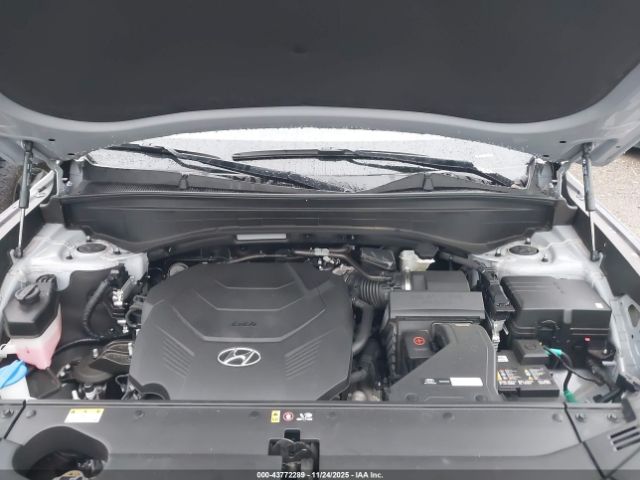 Hyundai PALISADE Calligraphy Image 7