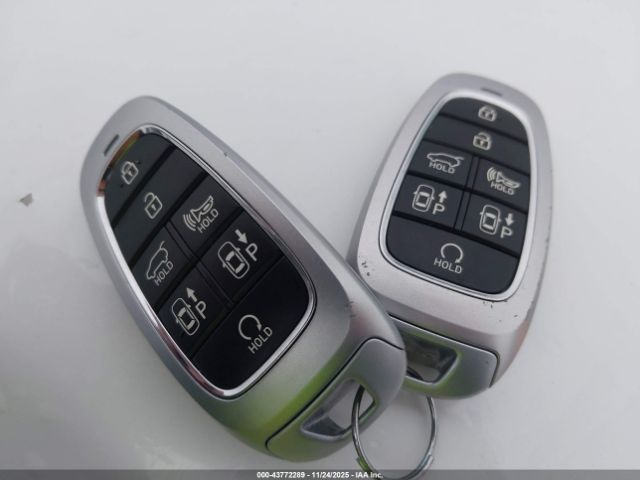 Hyundai PALISADE Calligraphy Image 17