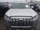 Hyundai PALISADE Calligraphy Image 14