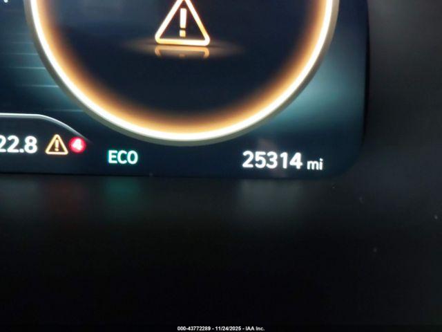 Hyundai PALISADE Calligraphy Image 11